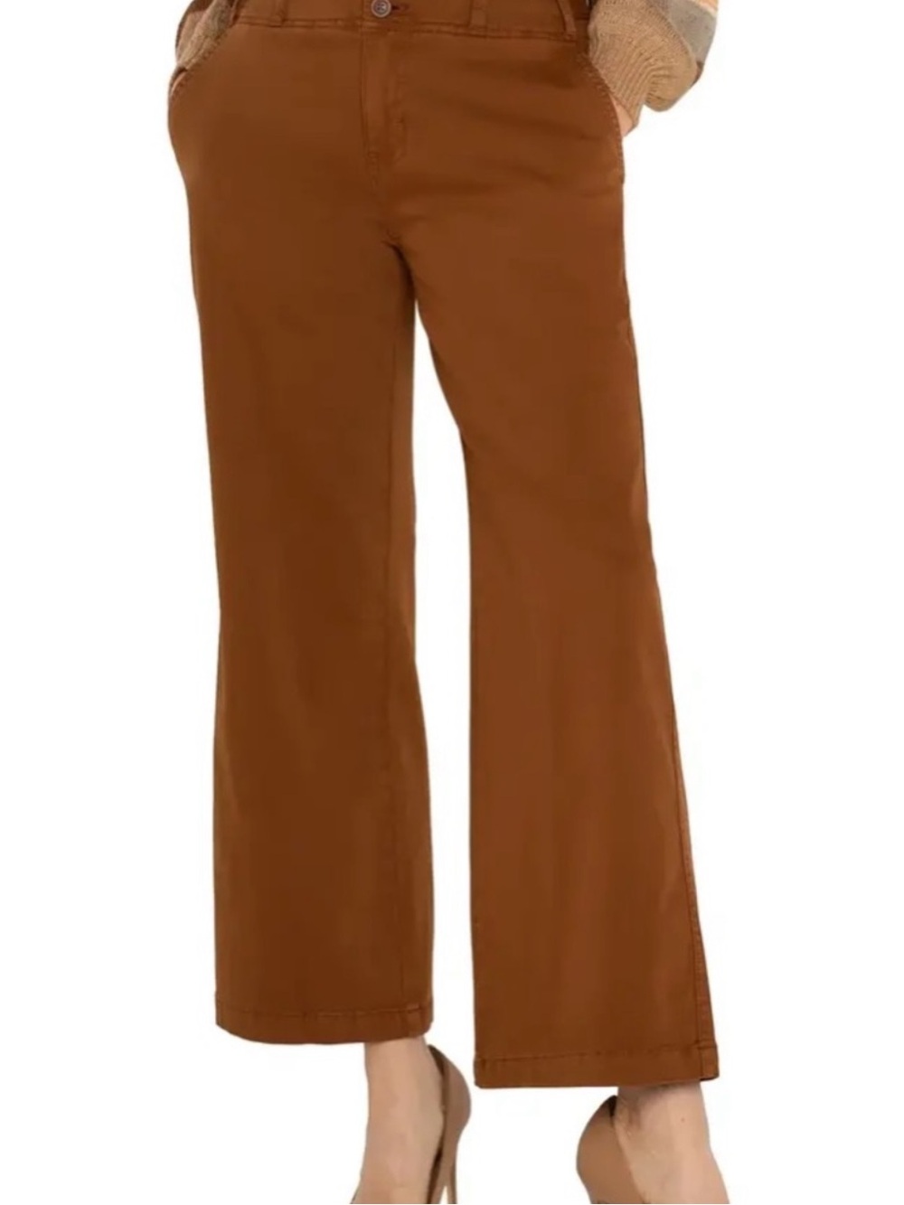 Liverpool Wide-Leg Pants in Brown
